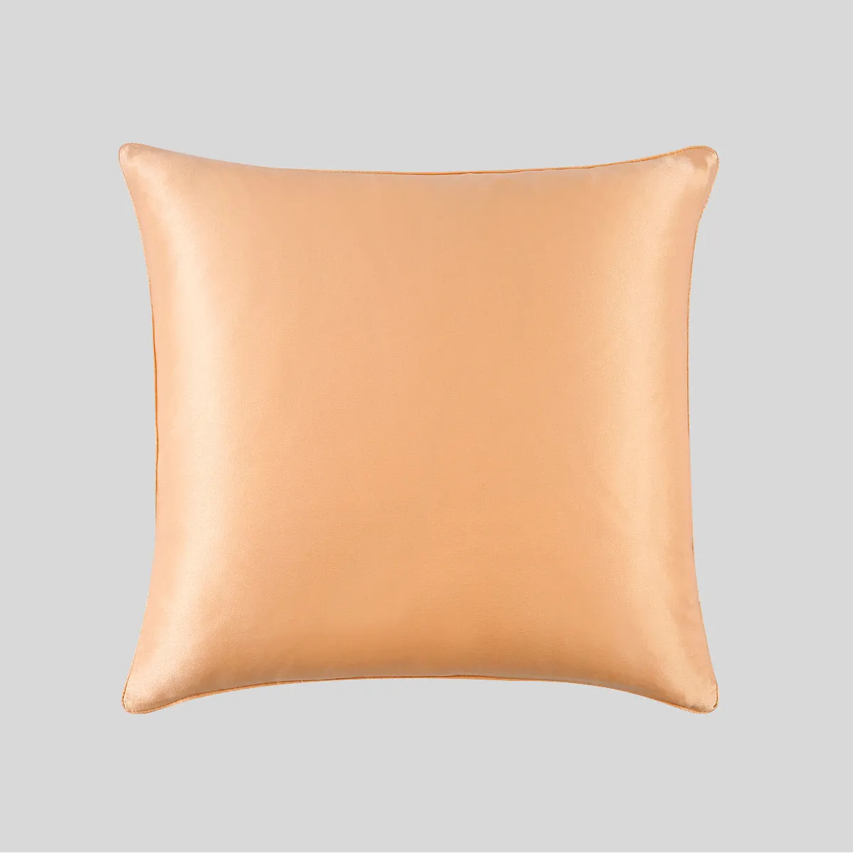 100% Mulberry Silk Cushion Pillow Case