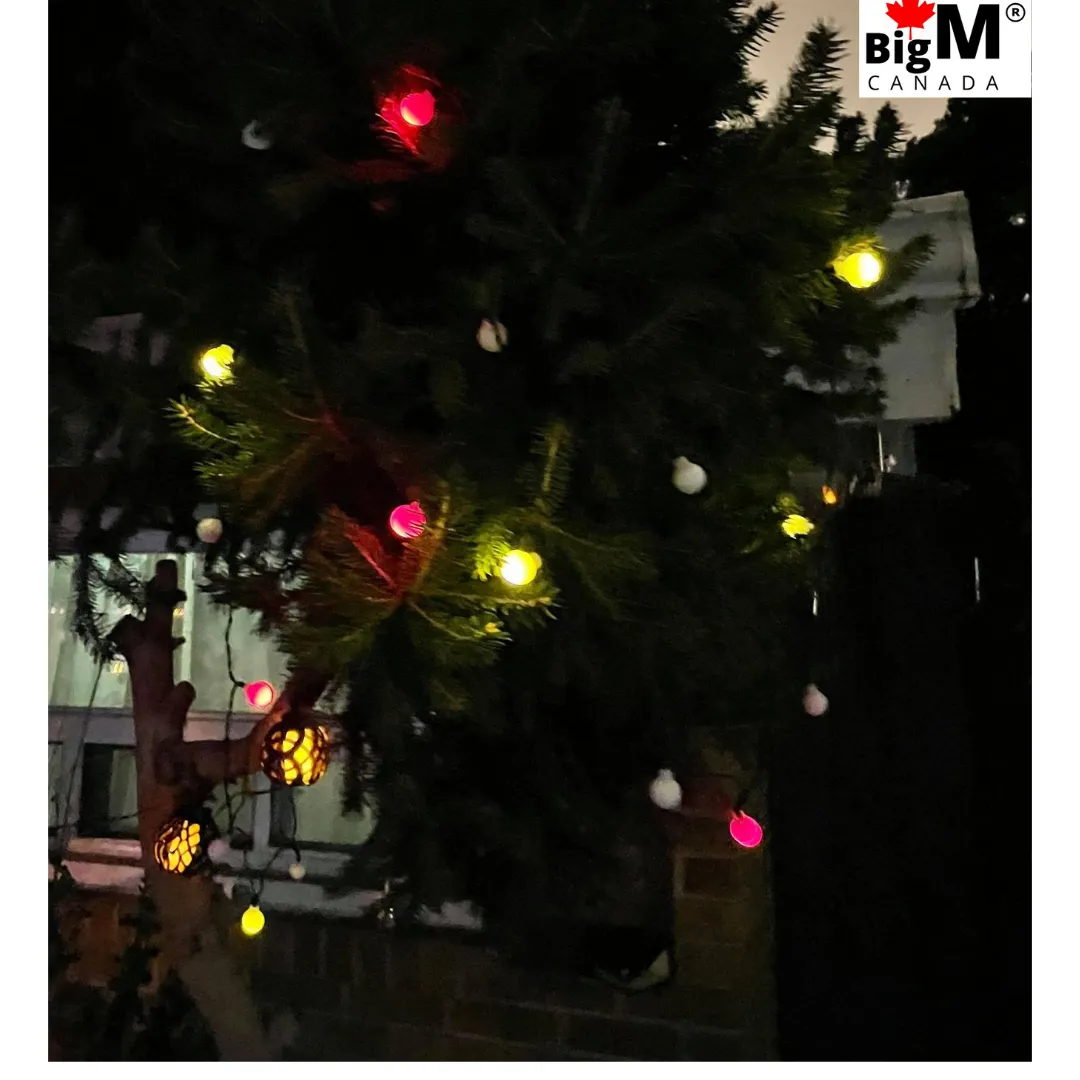 BigM 20 LED multicolored decorative solar string light balls