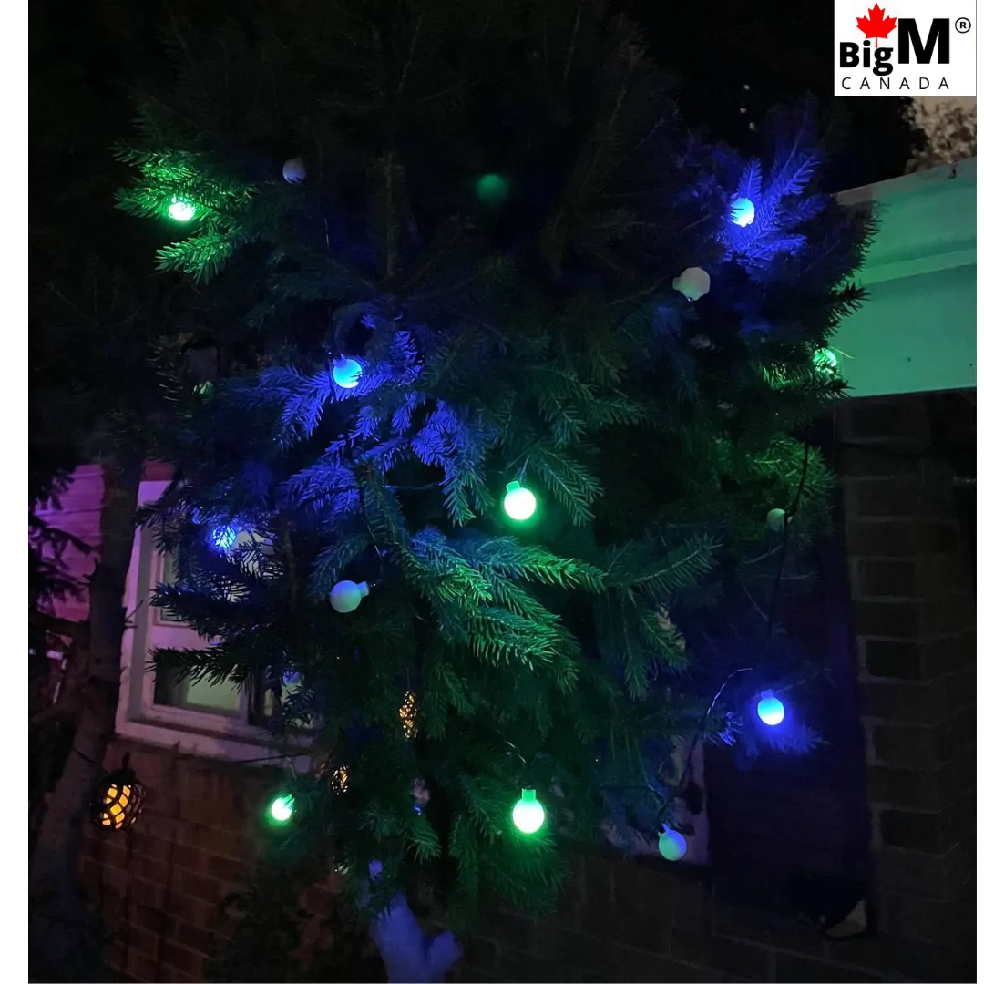 BigM 20 LED multicolored decorative solar string light balls