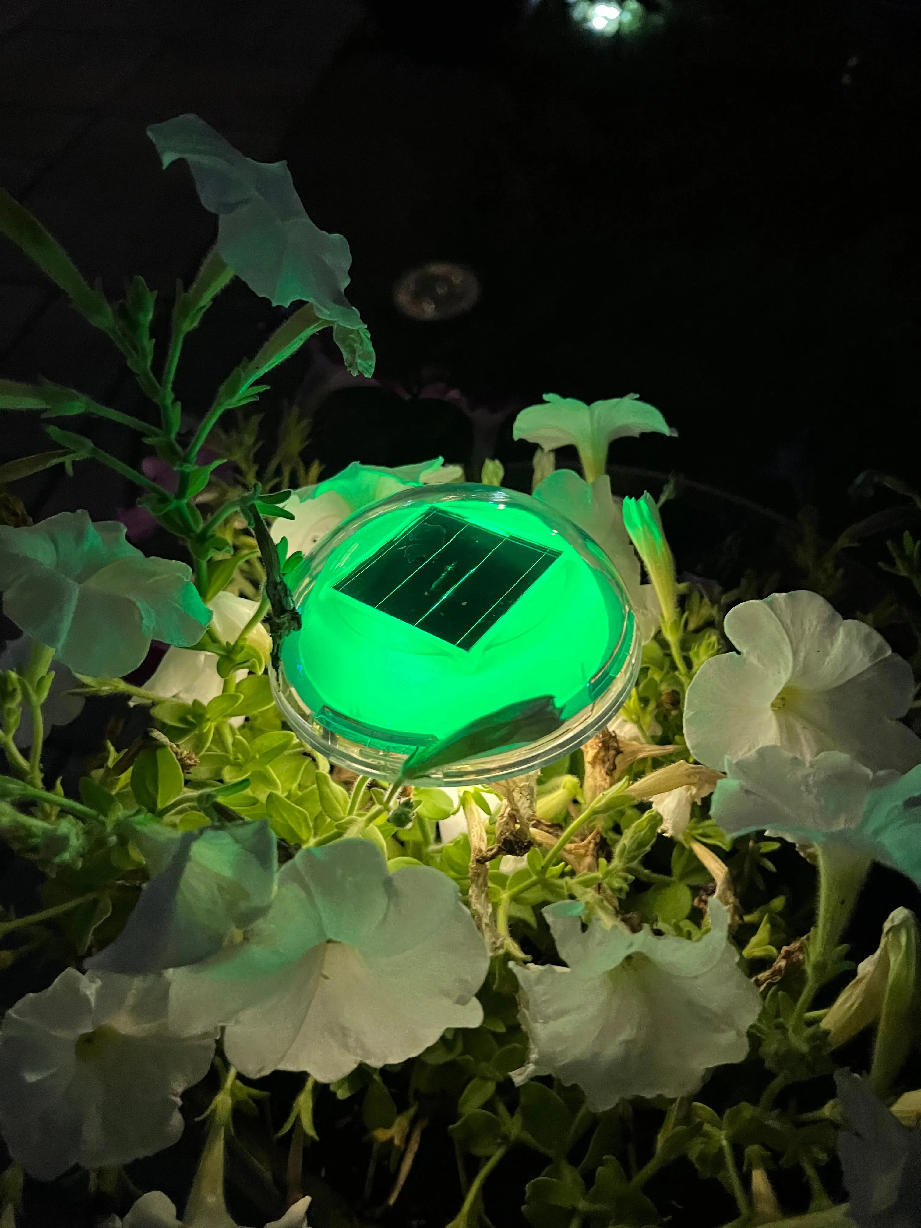 BigM RGB Color Changing Solar Mushroom Lights for Landscaping Gardens