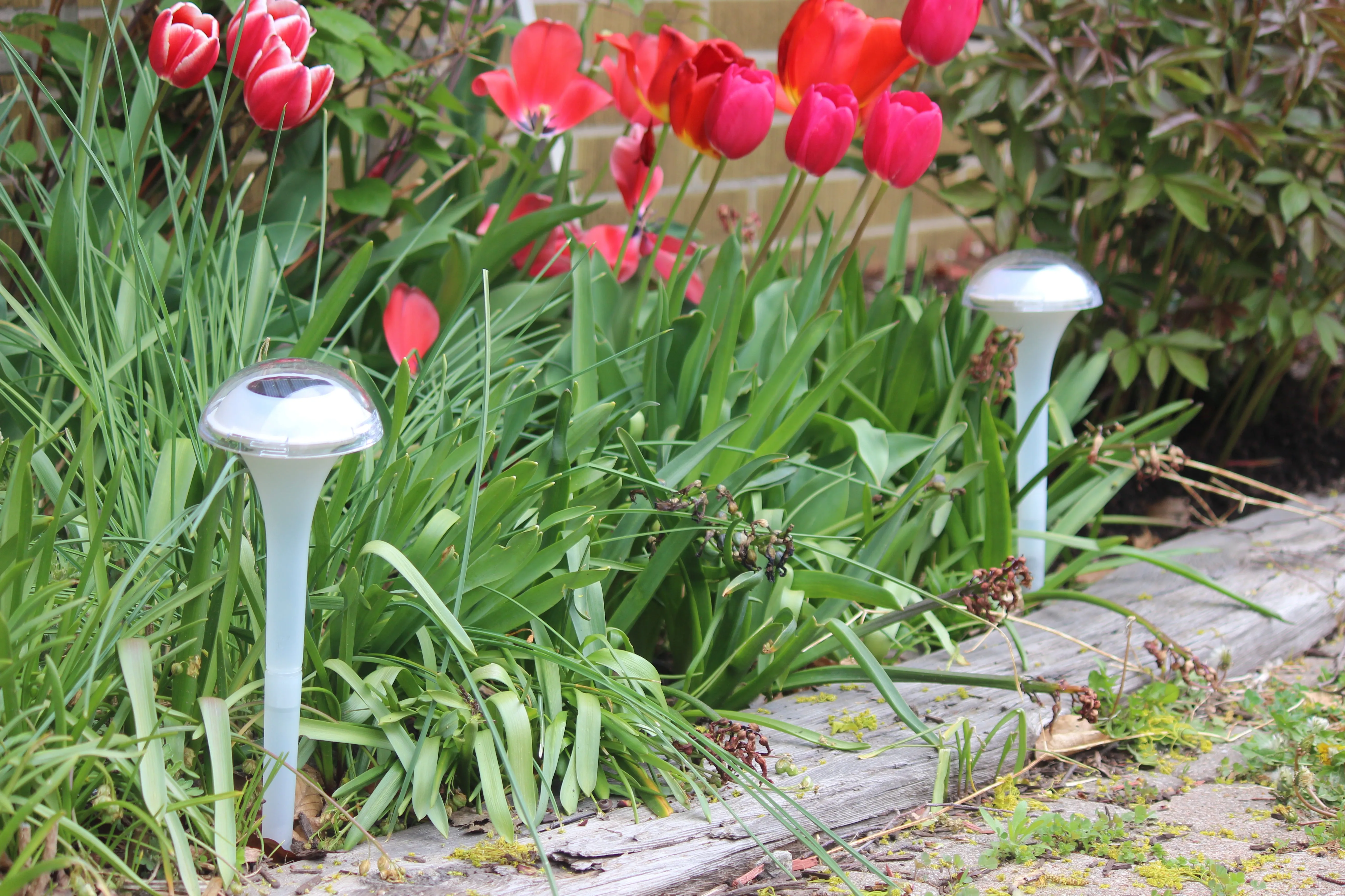 BigM RGB Color Changing Solar Mushroom Lights for Landscaping Gardens