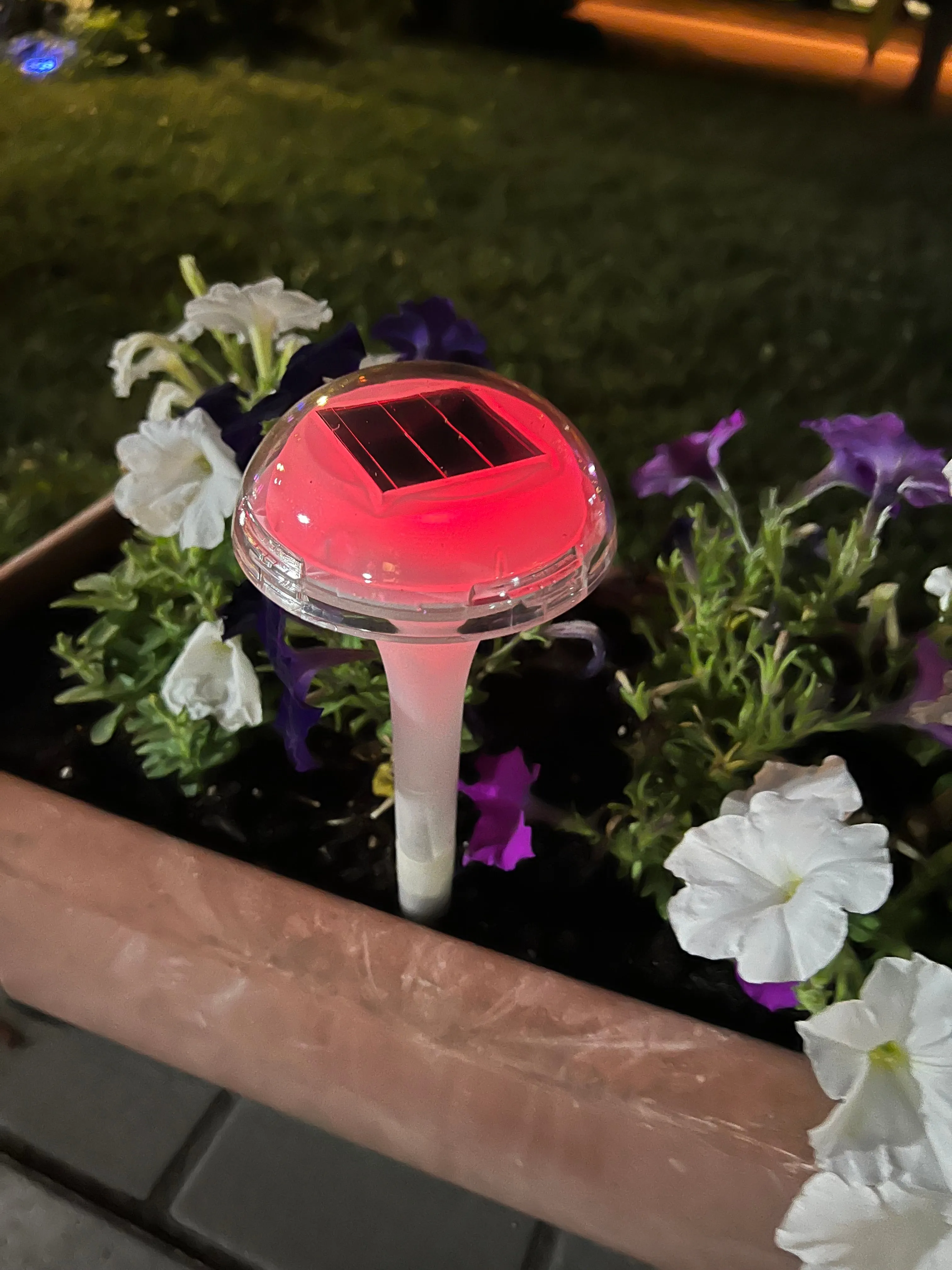 BigM RGB Color Changing Solar Mushroom Lights for Landscaping Gardens