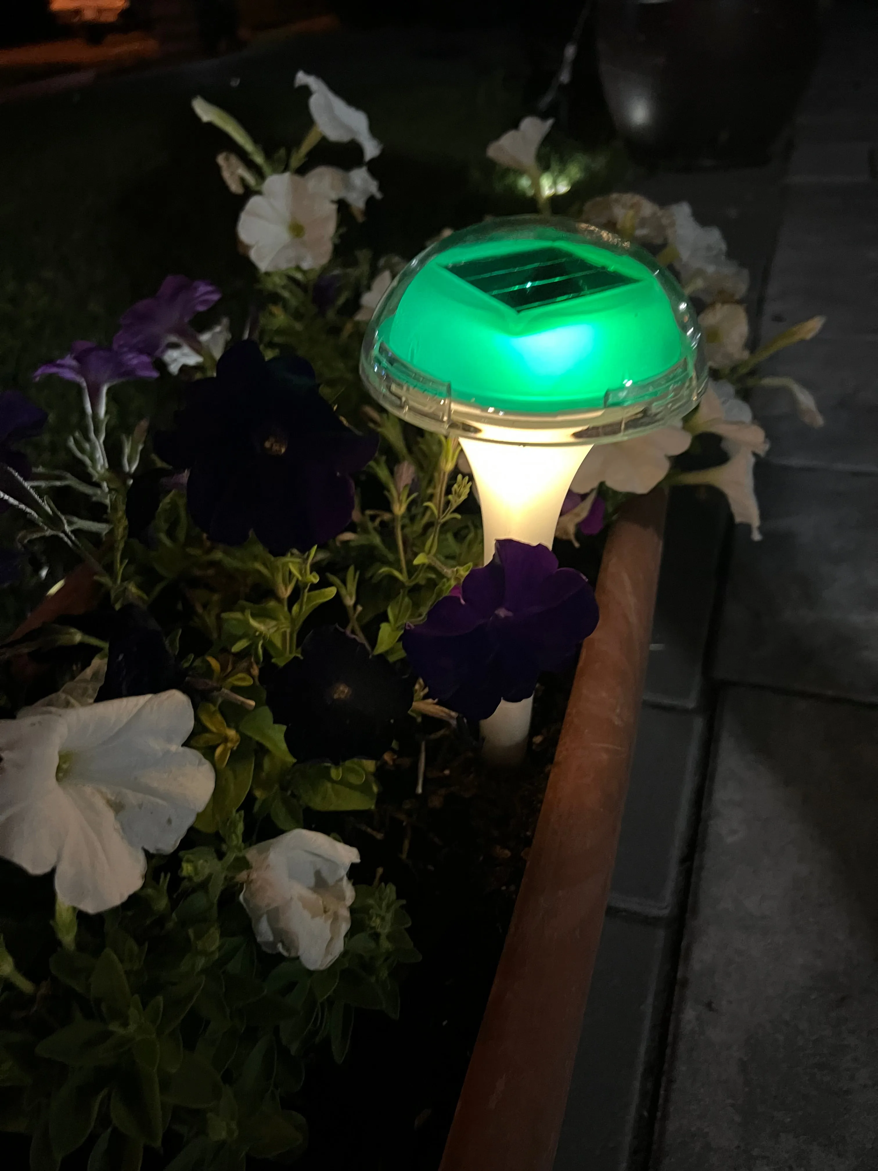 BigM RGB Color Changing Solar Mushroom Lights for Landscaping Gardens