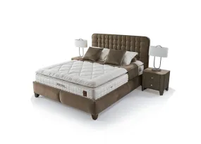 Brown Letto Set