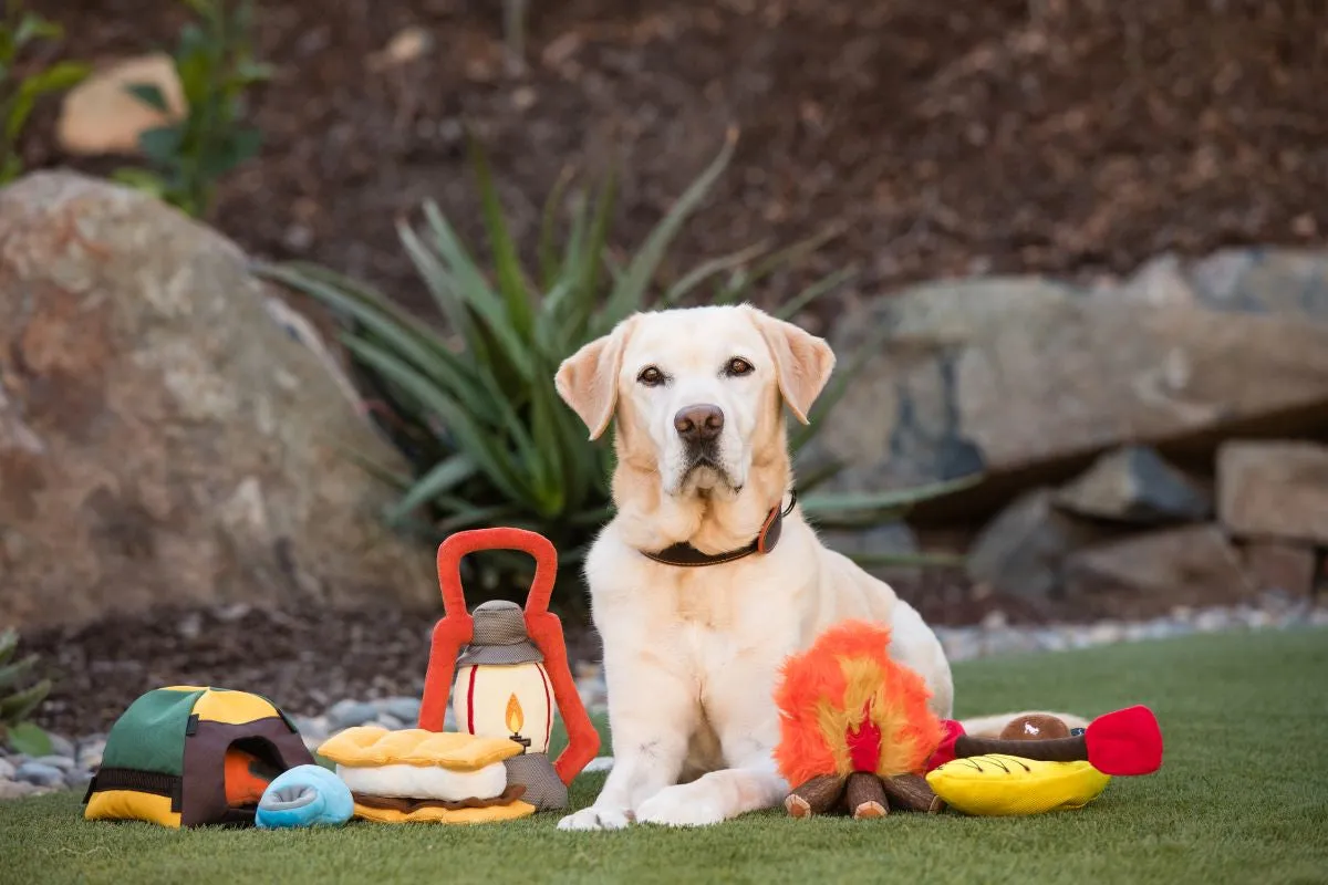 Camp Corbin plush toy set