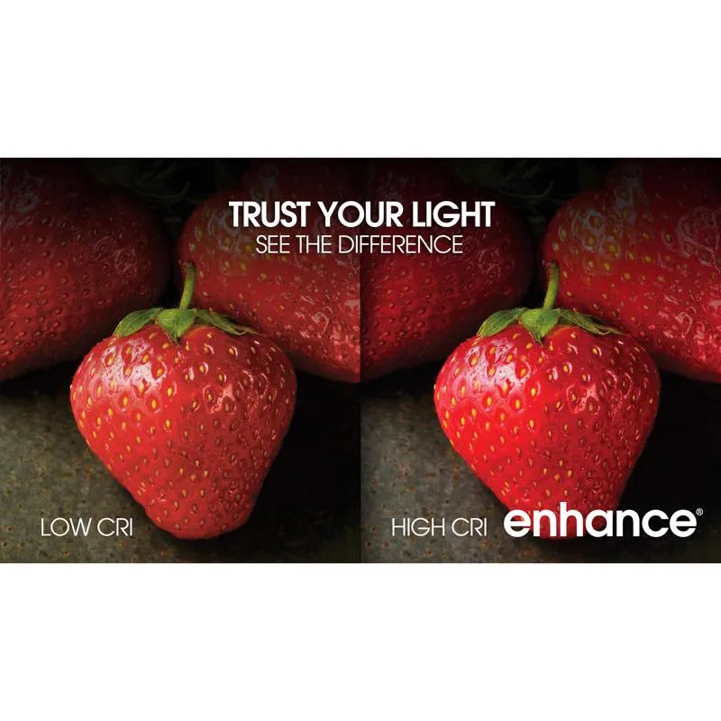 Feit Enhance G25 E26 (Medium) Filament LED Bulb Daylight 60 Watt Equivalence 1 pk