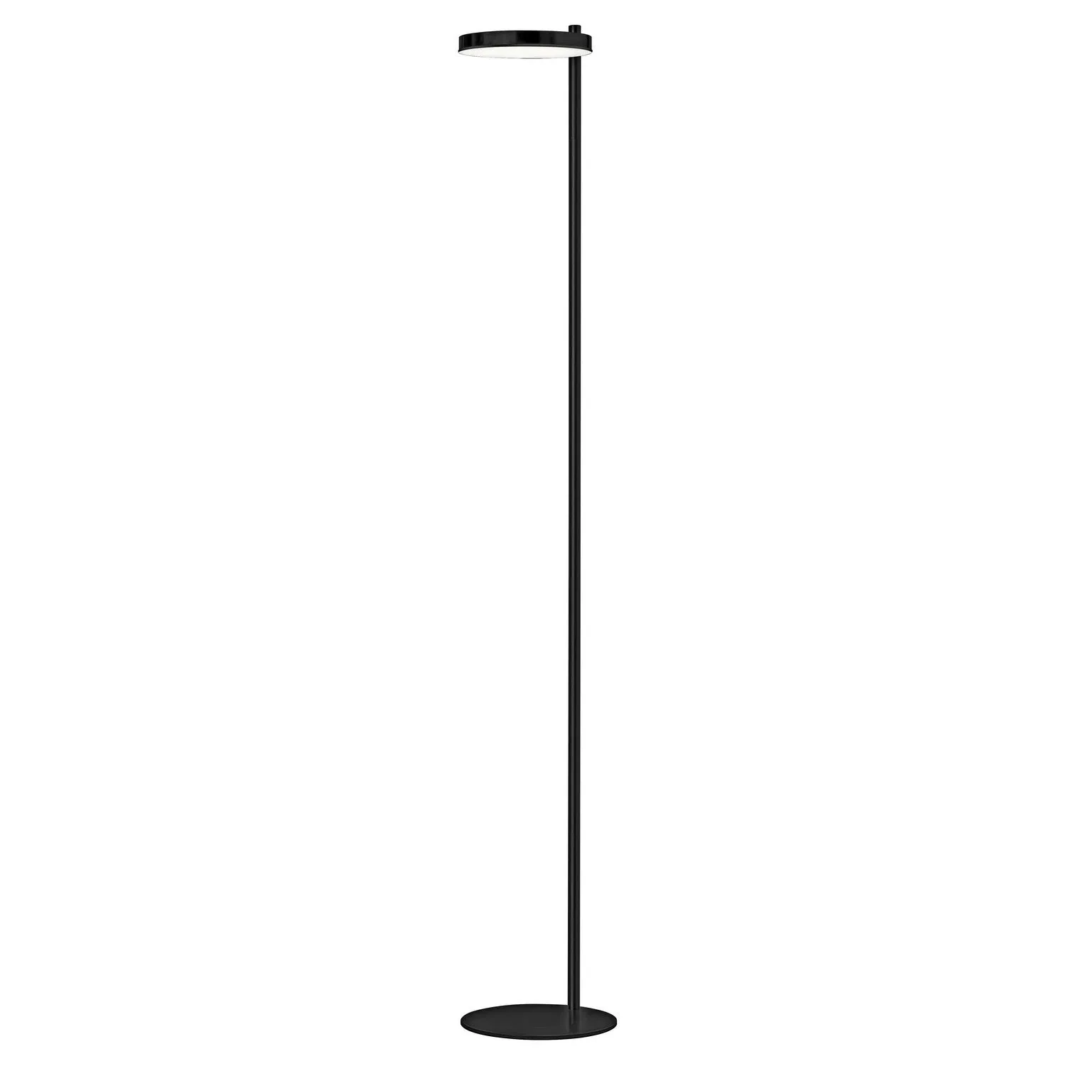 Fia LED Floor Lamp in Matte Black