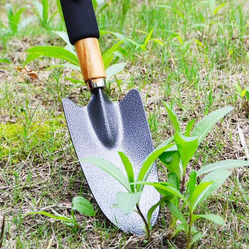 Nursery Garden Tools Vegetables