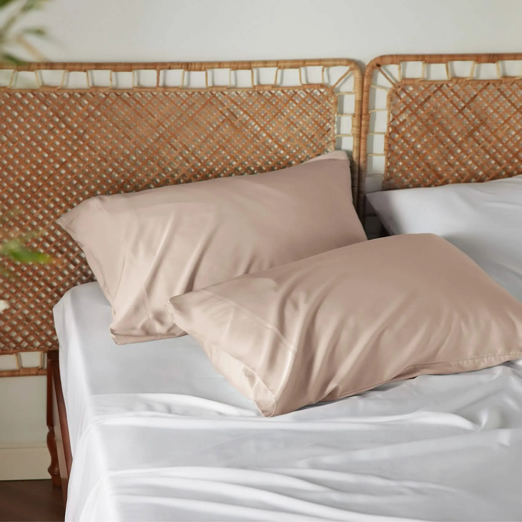 Rayon From Bamboo Silky Pillowcase