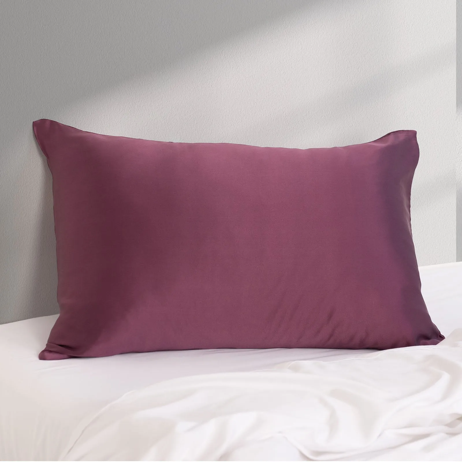 Royal Comfort Pure Silk Pillow Case 100% Mulberry Silk Hypoallergenic Pillowcase