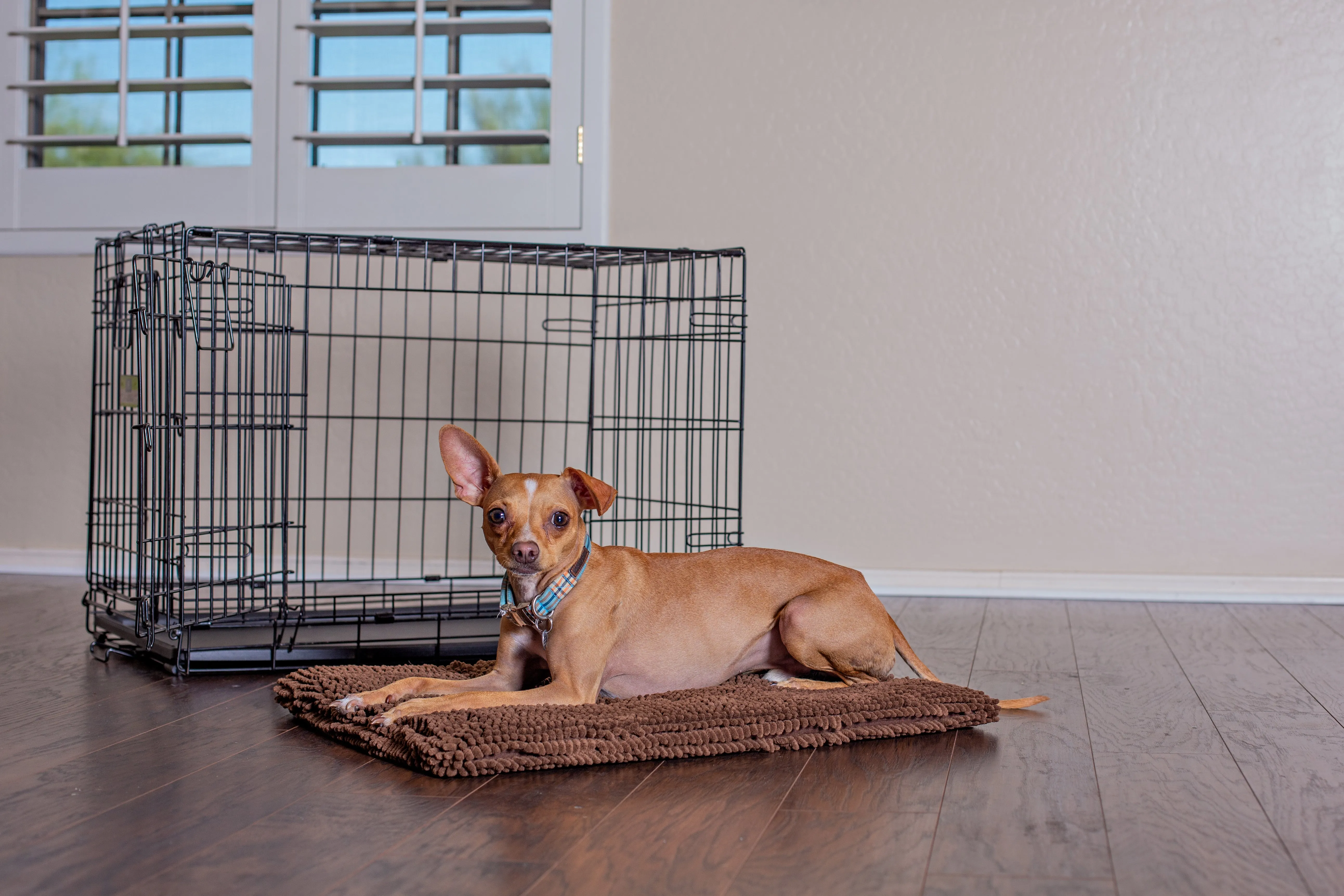 Soggy Doggy Crate Mate:  Chocolate