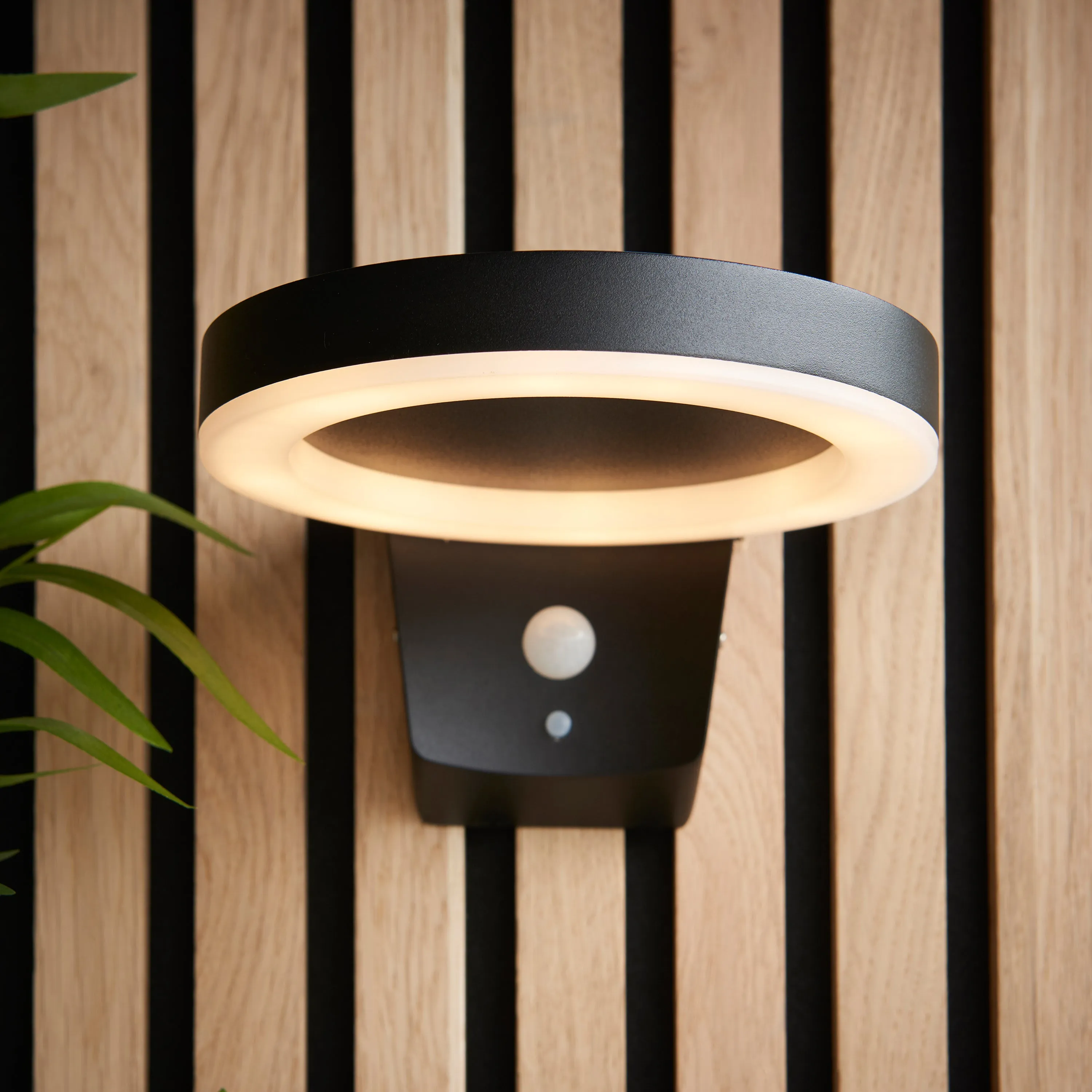 Solaria Black Hoop Outdoor Wall Light