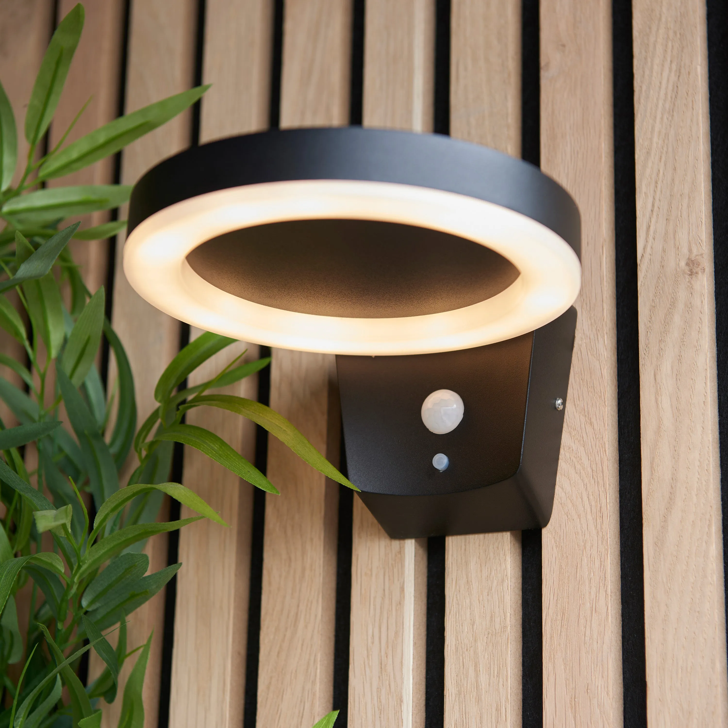 Solaria Black Hoop Outdoor Wall Light