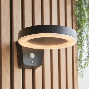 Solaria Black Hoop Outdoor Wall Light