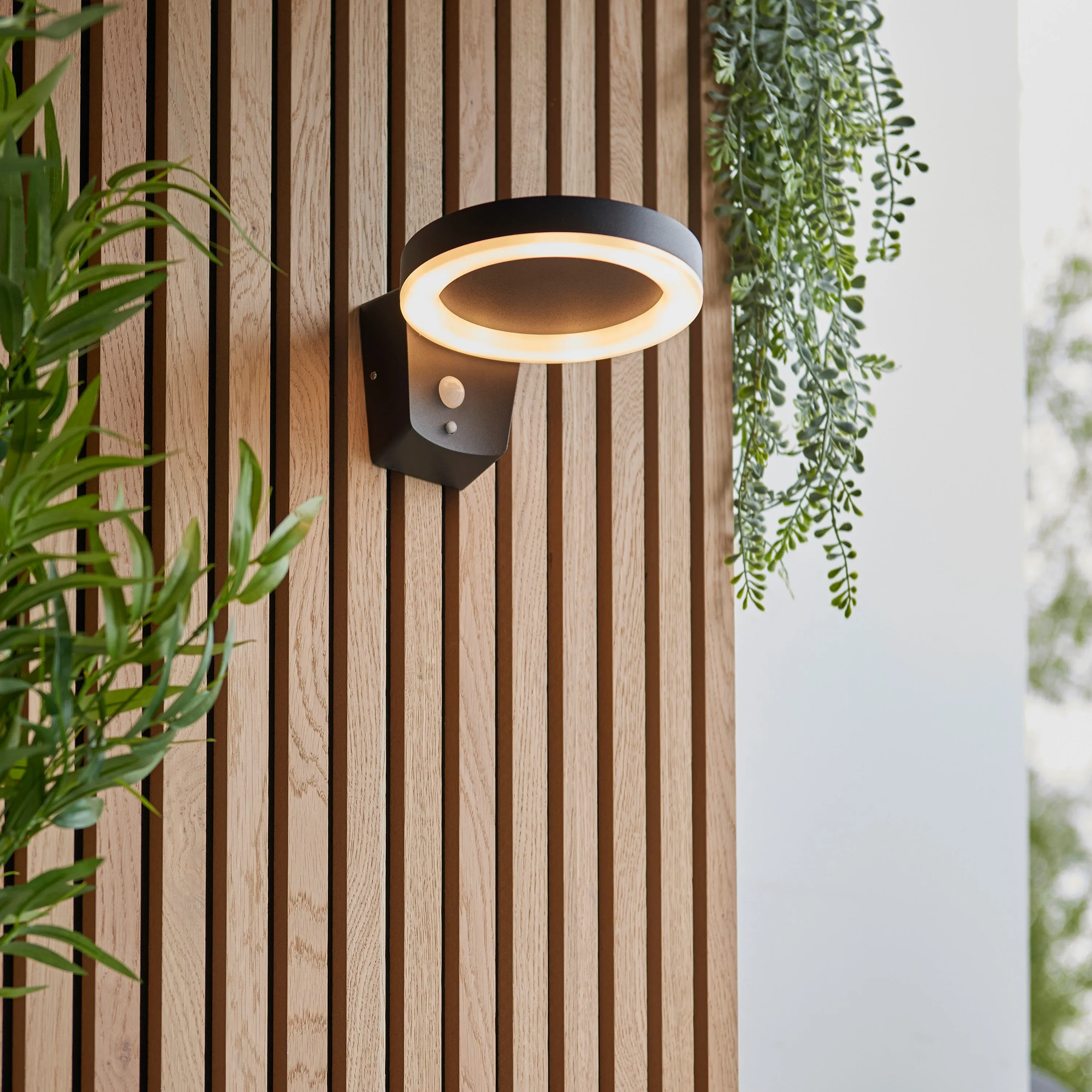 Solaria Black Hoop Outdoor Wall Light