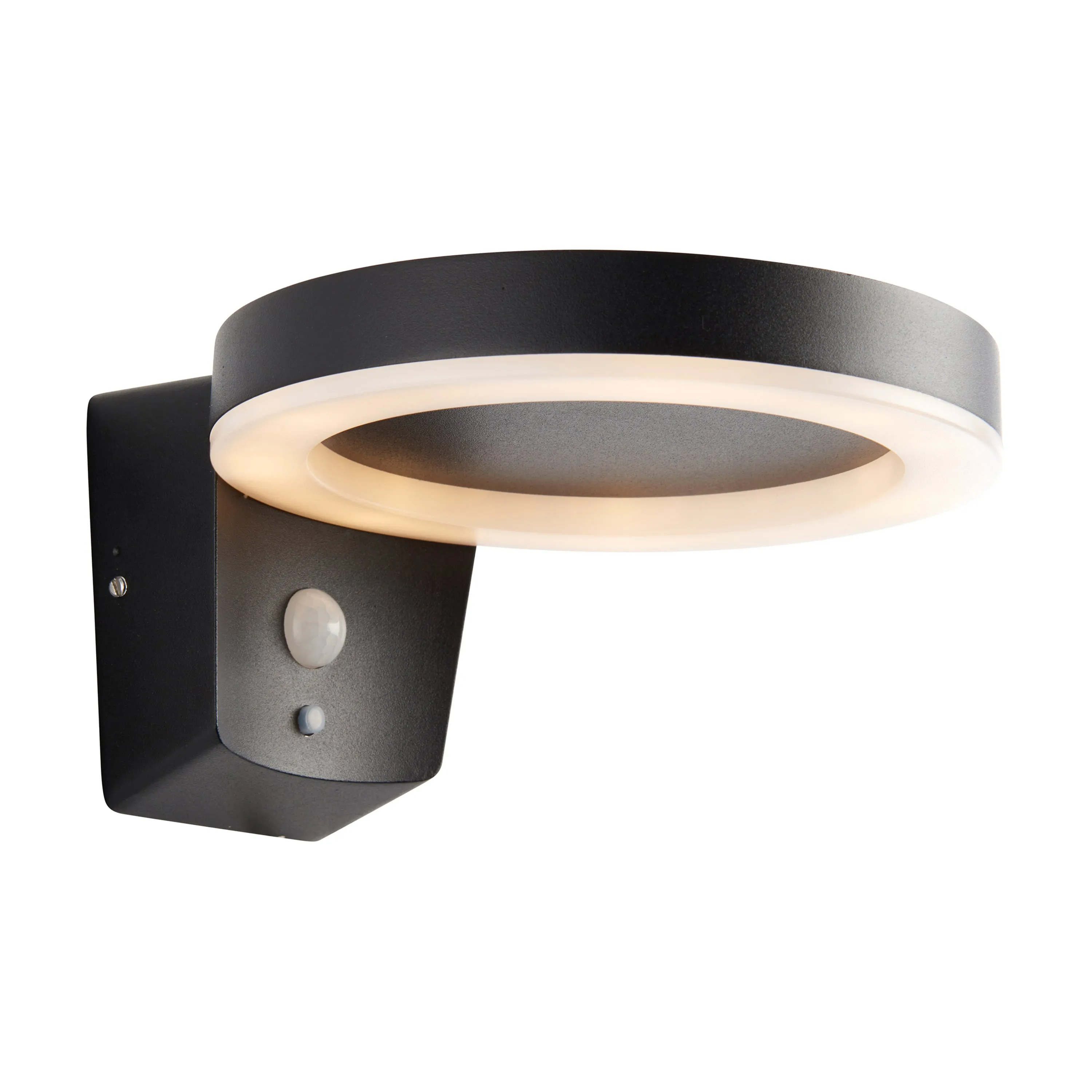 Solaria Black Hoop Outdoor Wall Light