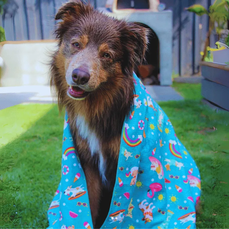 Summer Days - Adventure Dog Towel