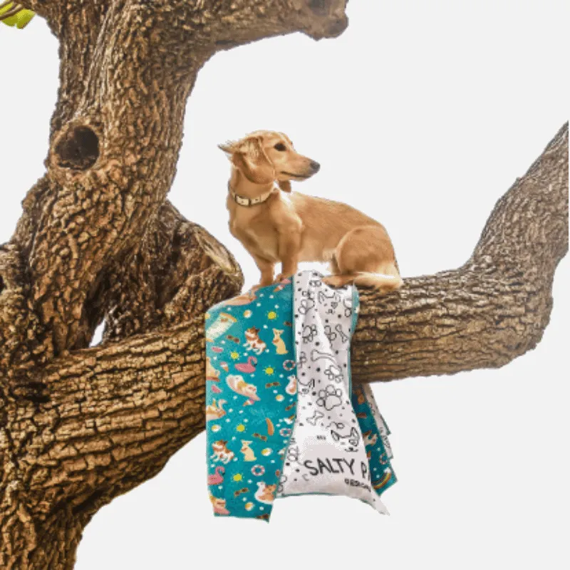 Summer Days - Adventure Dog Towel