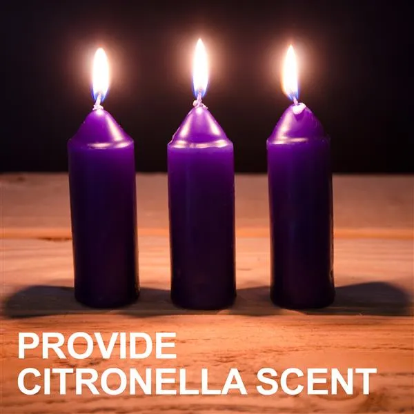 UCO CITRONELLA CANDLES 3CT